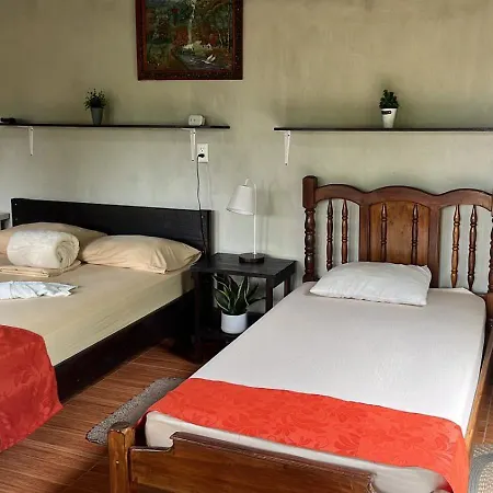 Cabanas Colibri Tayutic Turrialba Exterior photo