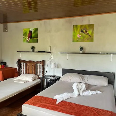 Cabanas Colibri Tayutic Turrialba Exterior photo