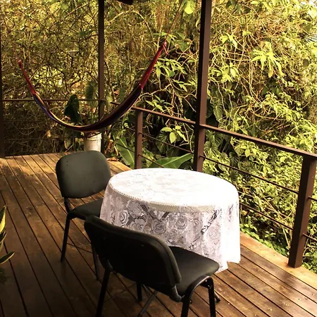 Cabanas Colibri Tayutic Turrialba Exterior photo