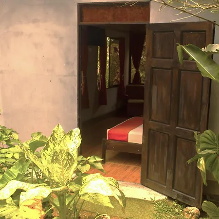 Cabanas Colibri Tayutic Turrialba Exterior photo