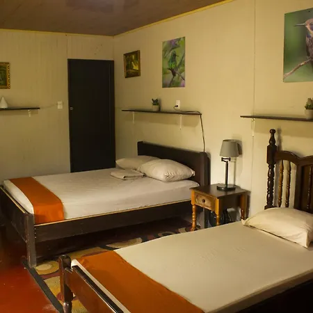 Cabanas Colibri Tayutic Turrialba Exterior photo