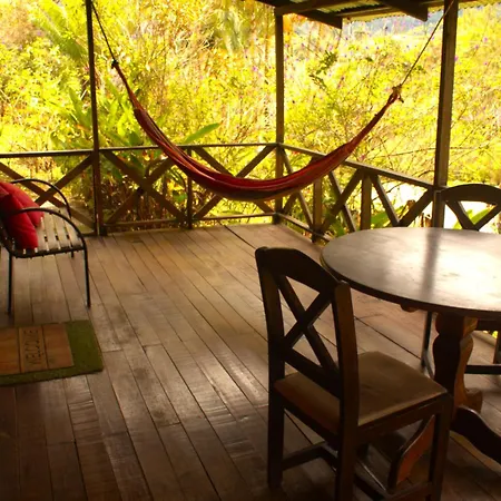 Cabanas Colibri Tayutic Turrialba Exterior photo