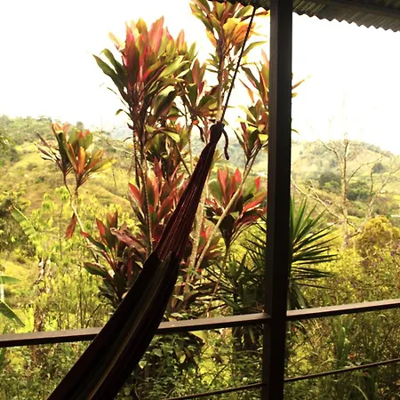 Cabanas Colibri Tayutic Turrialba Exterior photo