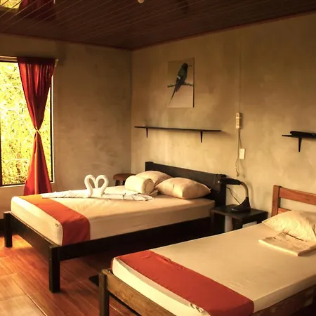 Cabanas Colibri Tayutic Turrialba Exterior photo