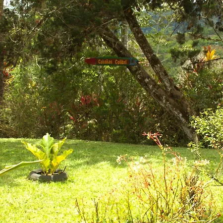 Cabanas Colibri Tayutic Turrialba Exterior photo