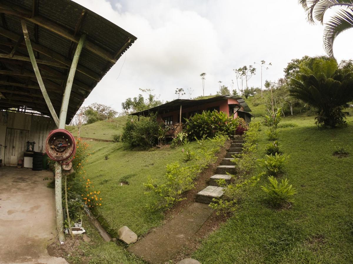 Colibri Tayutic Camping *