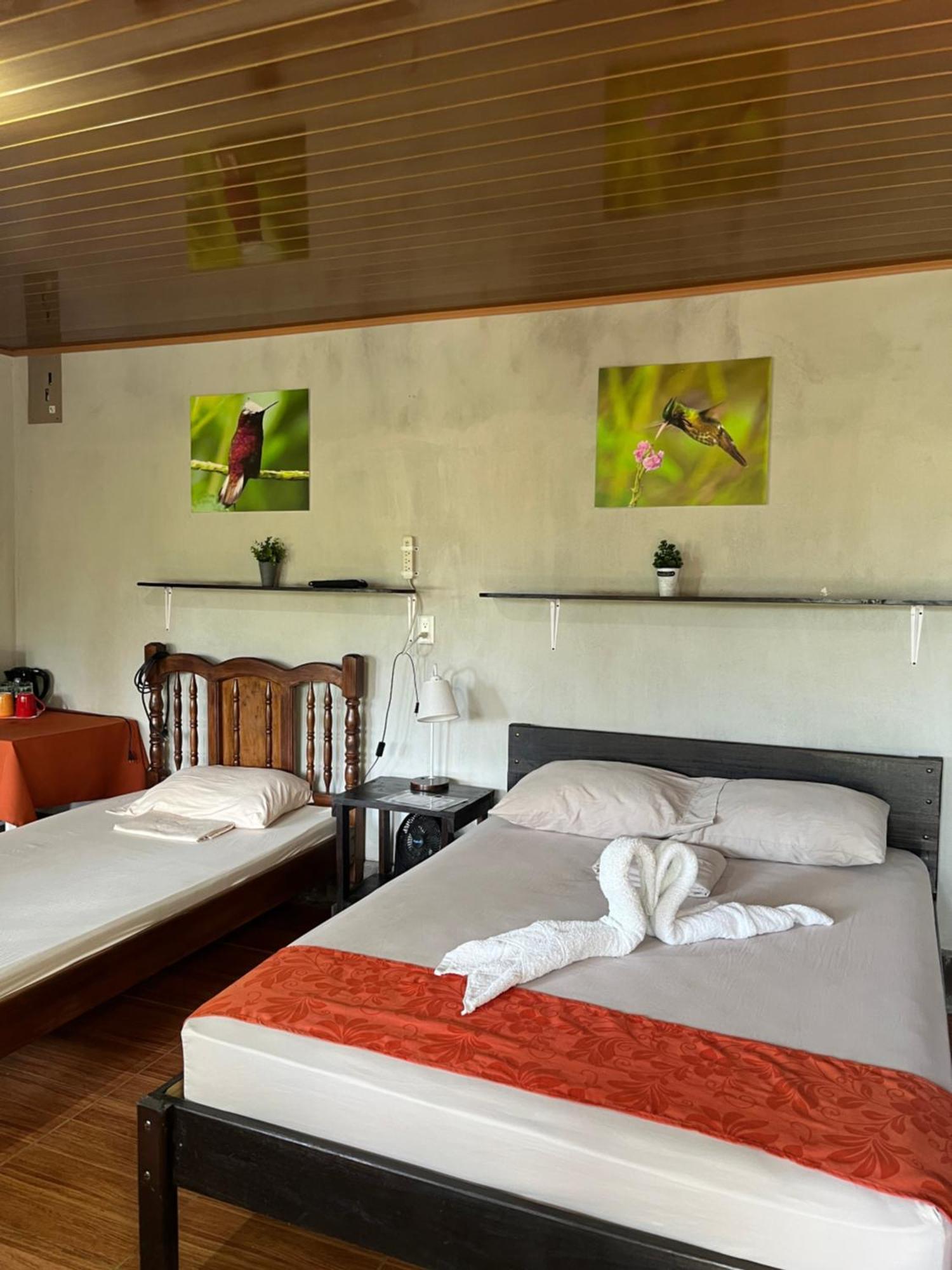 Campsite Colibri Tayutic Turrialba