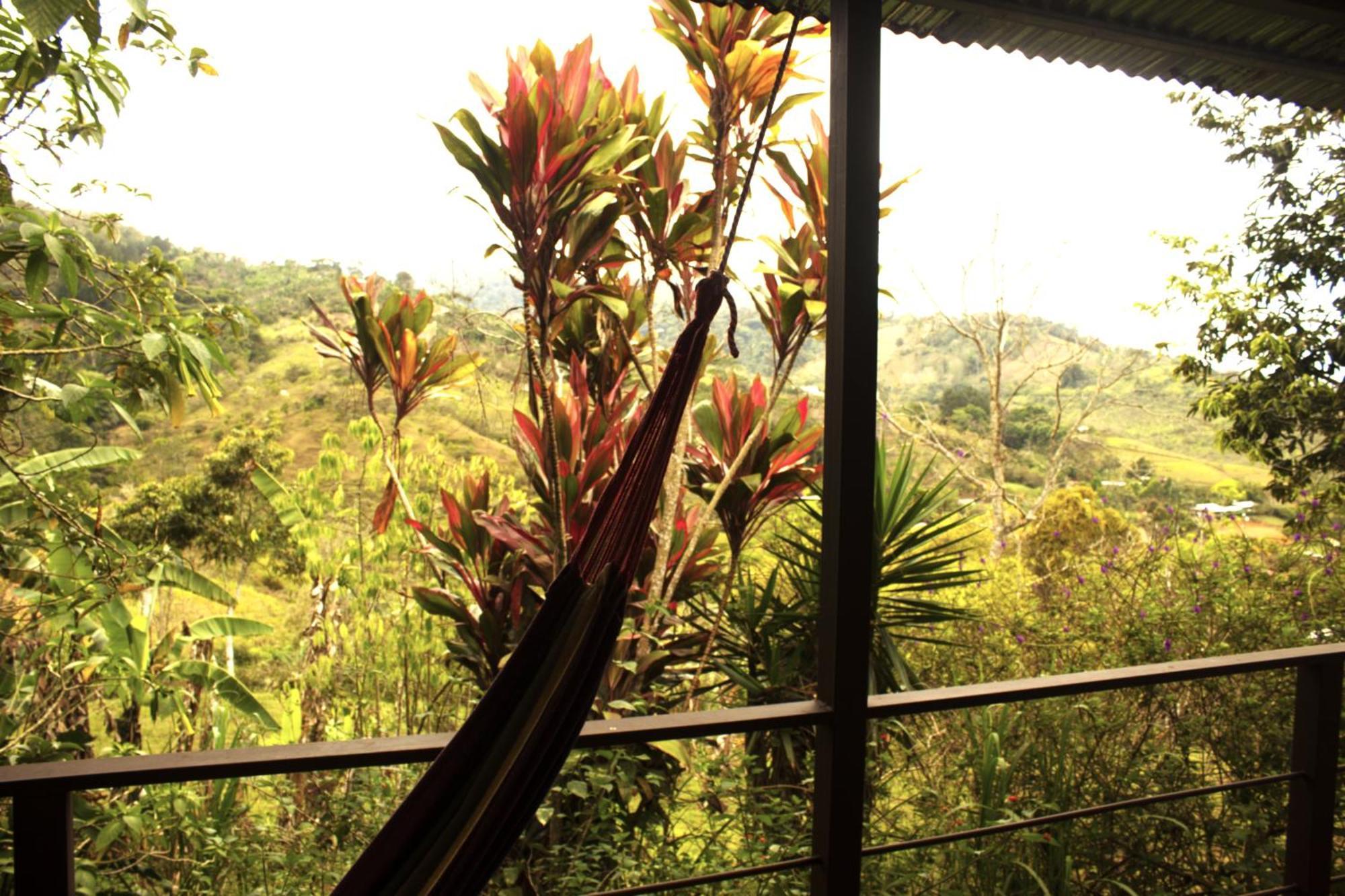 Colibri Tayutic Campsite *
