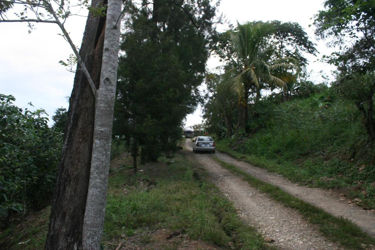 Colibri Tayutic Campsite *
