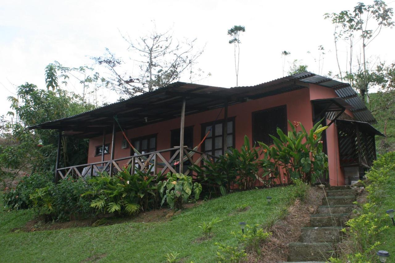 Campsite Colibri Tayutic