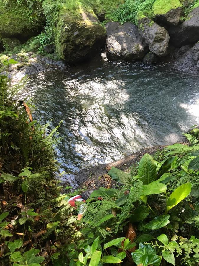 Colibri Tayutic Campsite *